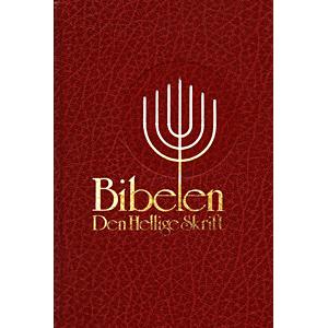 Norsk Bibel A/S 1993 // Bible HB (Norwegian)